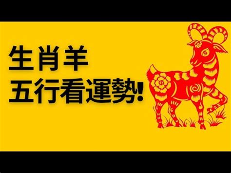 屬羊的五行|【屬羊五行】屬羊五行是什麼？屬羊五行缺什麼？一次解惑！